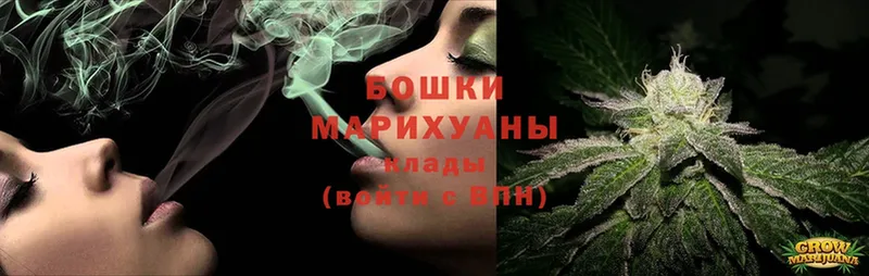 Бошки марихуана SATIVA & INDICA  Советский 